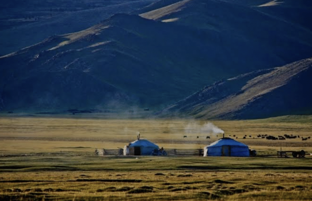 Screenshot 2025-10-23 at 21.11.07 - mongolianteacher.co.uk